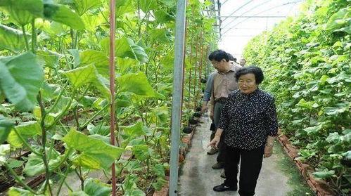 城门楼下的吃瓜群众是谁,揭秘街头巷尾的热议焦点