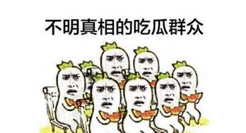 在线教育吃瓜群众,吃瓜群众视角下的行业变迁与热议