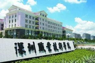 沈阳职业技术学院吃瓜群众,吃瓜群众视角下的校园风云录