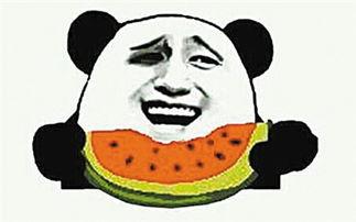 在海边吃瓜群众怎么说话,夏日海滨的闲聊与趣事