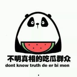 吃瓜群众的好朋友有哪些,那些陪伴我们度过的欢乐时光