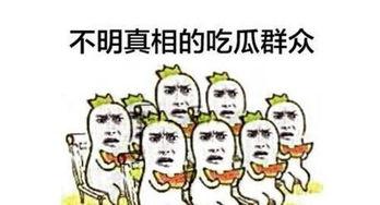 提问吃瓜群众,吃瓜群众眼中的明星幕后故事