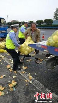 吃瓜群众许昌,吃瓜群众眼中的美食盛宴